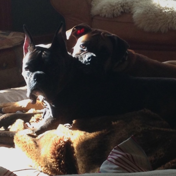 Meet your Posher, Andi - Picture 3 of 3